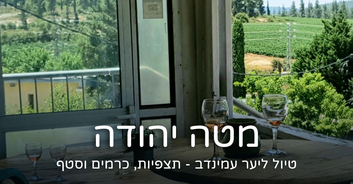 metaylimbkipa.com