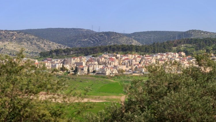 מלכת הרכישות של המגזר. בית שמש (שאטרסטוק)