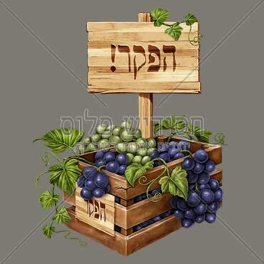 ארכיון כאן שומרים שמיטה - חסידיש פלוס - יוצרים אמנות בשבילך!