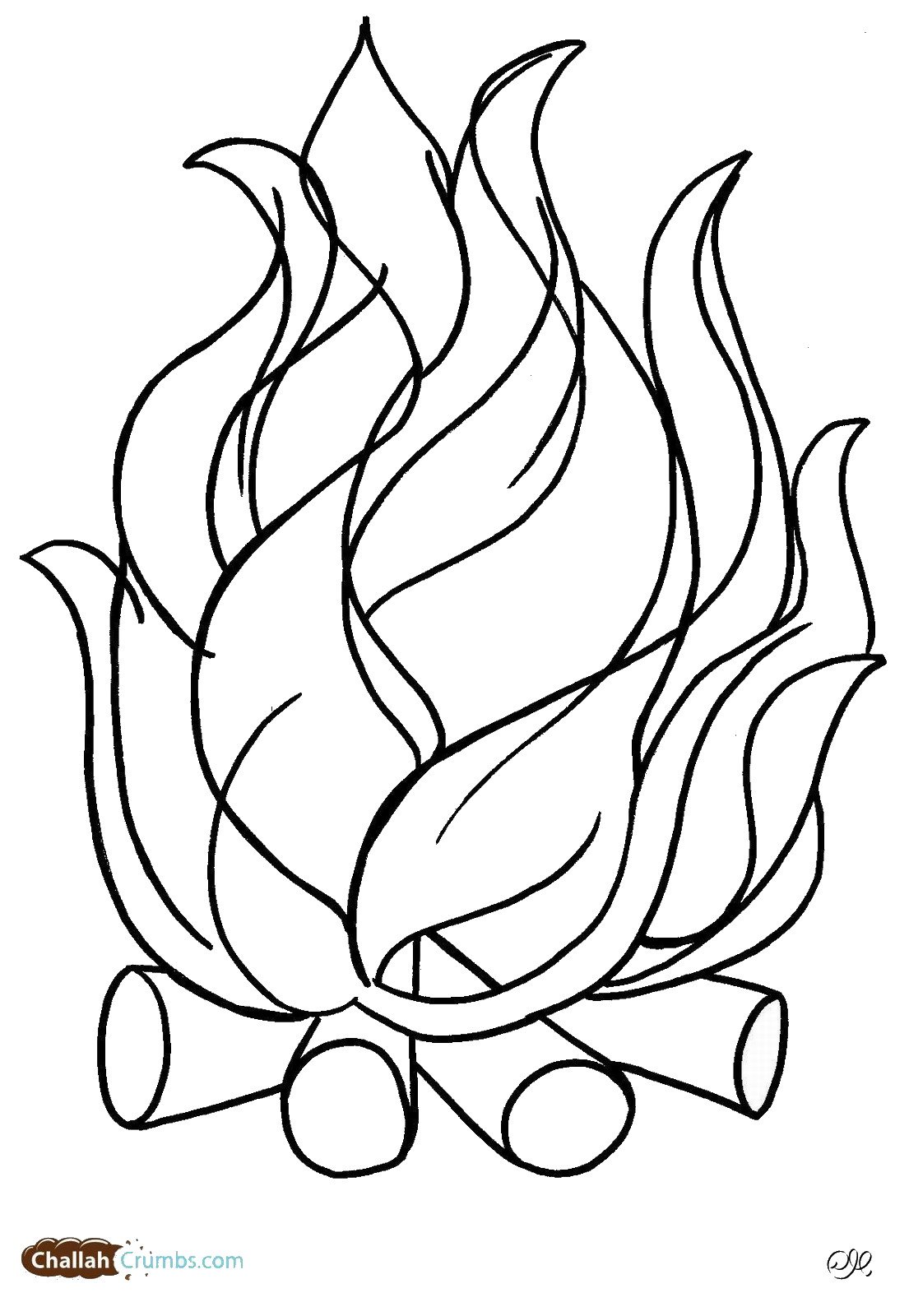 lag_baomer_cl_28.jpg