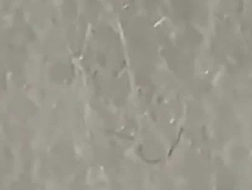 topheal.co.il