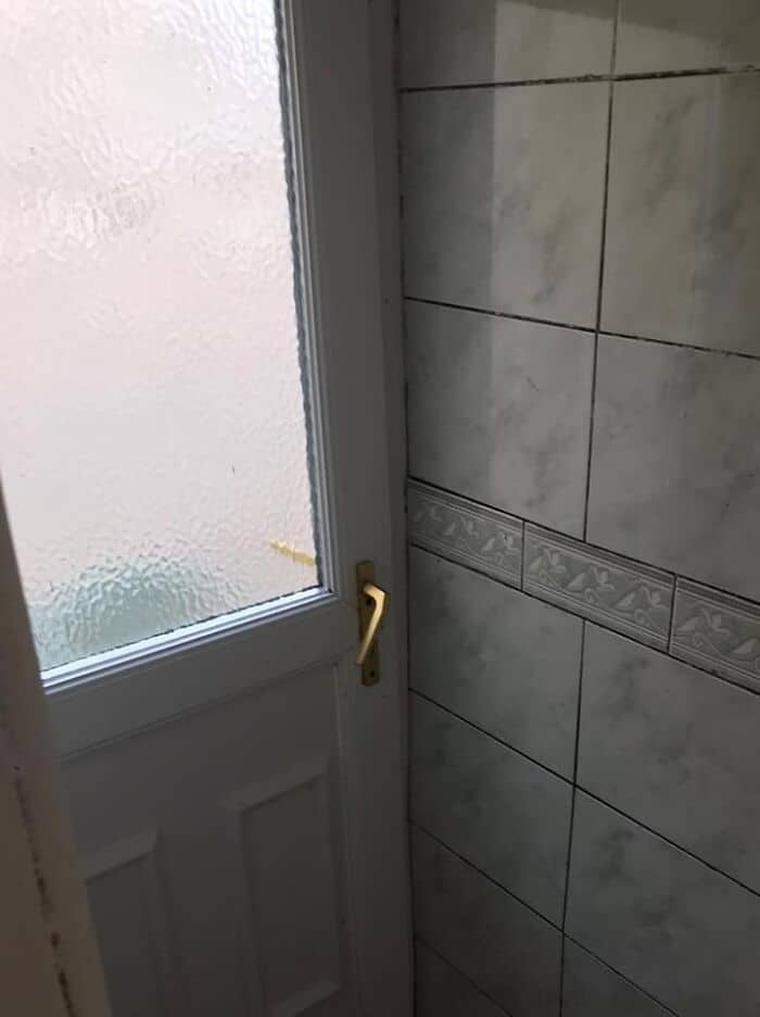 278331.jpg