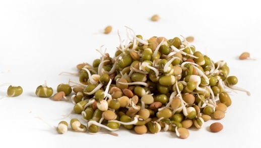 mung_bean_sprouting.jpg