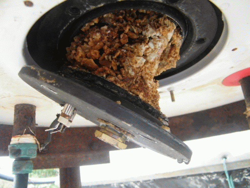 מדריך: החלפת חמם בדוד שמש | הבלוג של יקיר אביב