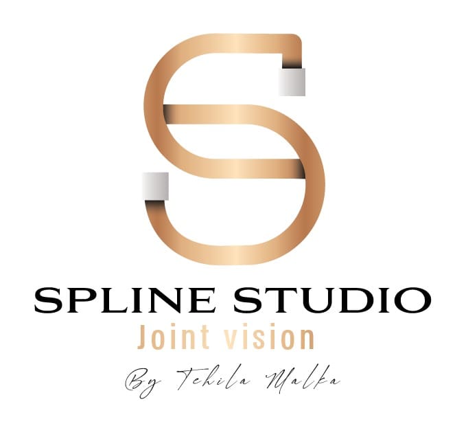 www.spline-studio.com