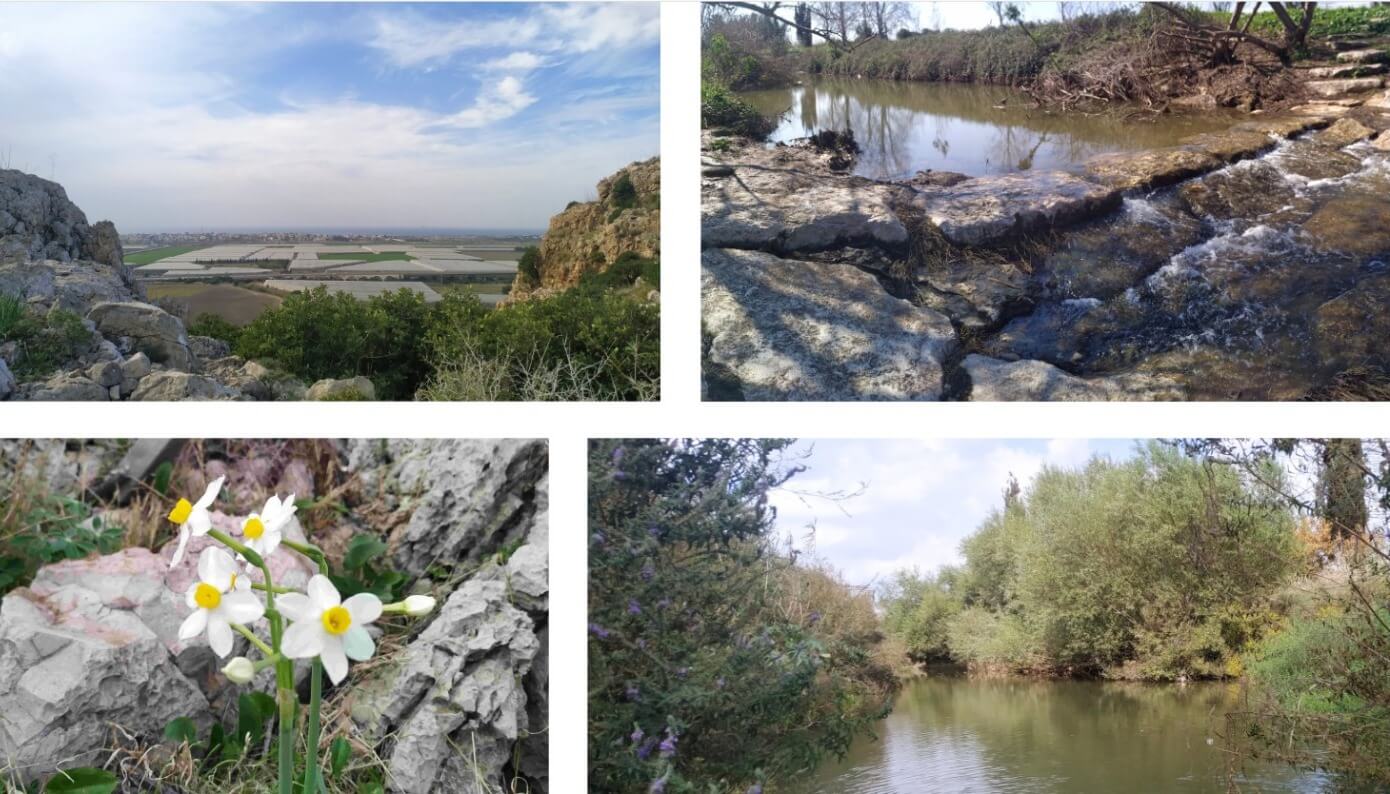 מסלולי טיולי חורף סמוך לחריש