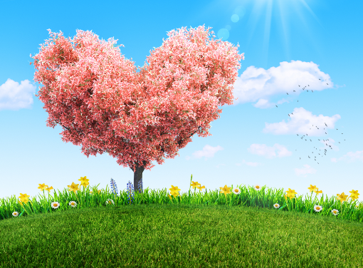 605253e1cb9f6.site123.me