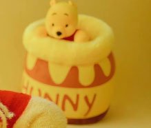 דבש ודובי.jpg